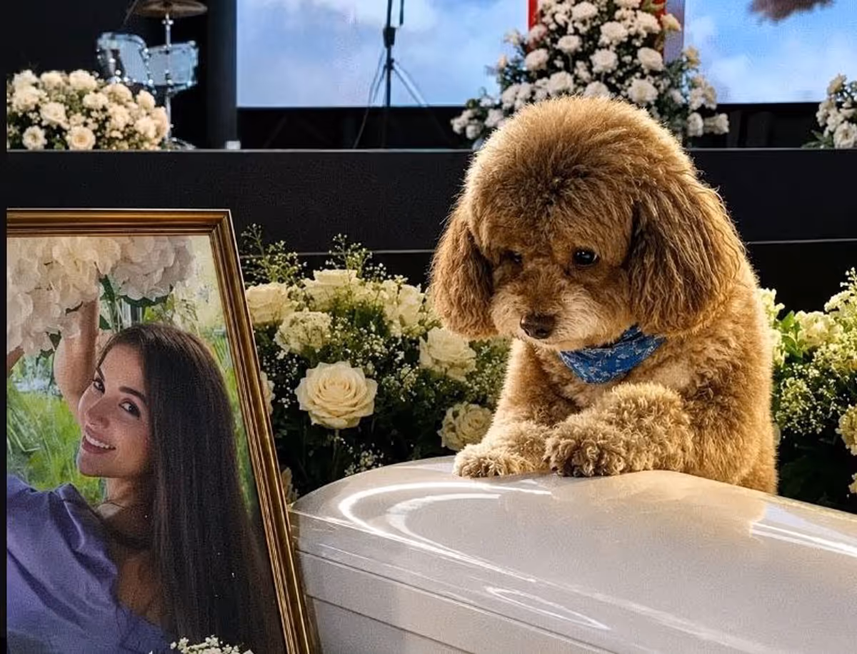 Un acte de dévouement tragique lors du séisme en Colombie : une femme se sacrifie pour son chien