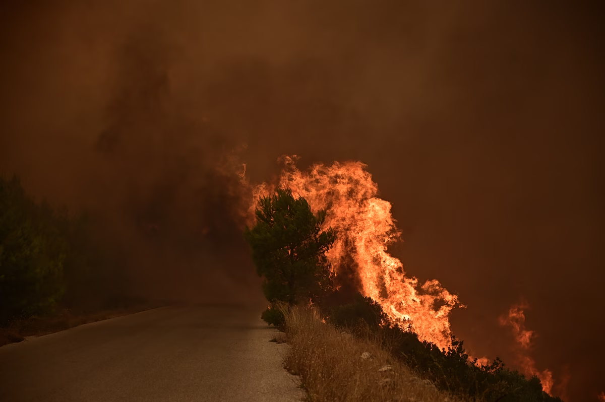 Béotie : Un pyrométéorologue qualifie de « catastrophe inimaginable » la dévastation de 50 000 stremmes par les flammes