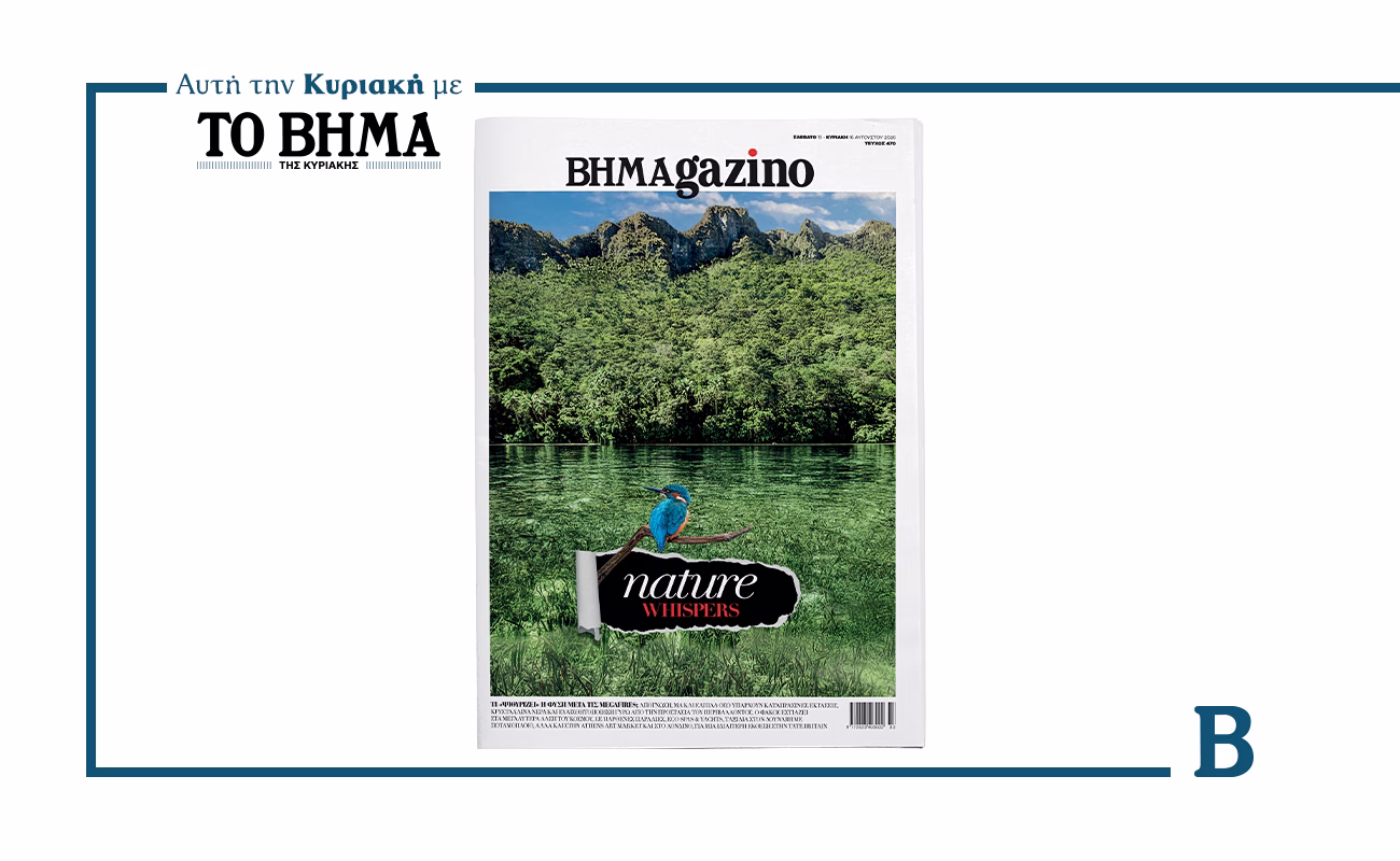 BHMAGAZINO : Un hommage à la nature post-incendies dévastateurs
