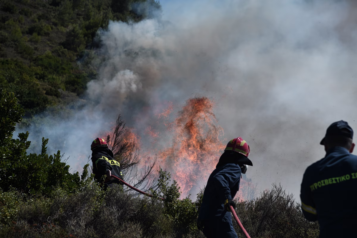Céphalonie : Un homme de 44 ans incarcéré pour incendie volontaire