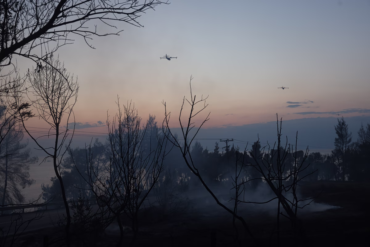 Chalcidique : 2 480 hectares ravagés par l'incendie de Siviri, selon Copernicus