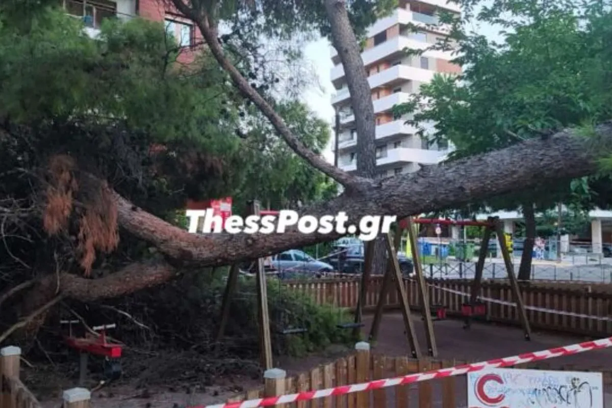 Un arbre tombe sur une aire de jeux à Kalamaria et blesse une mère et son enfant