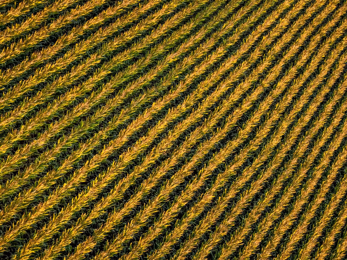 L'enregistrement des propriétés commence par les terrains agricoles