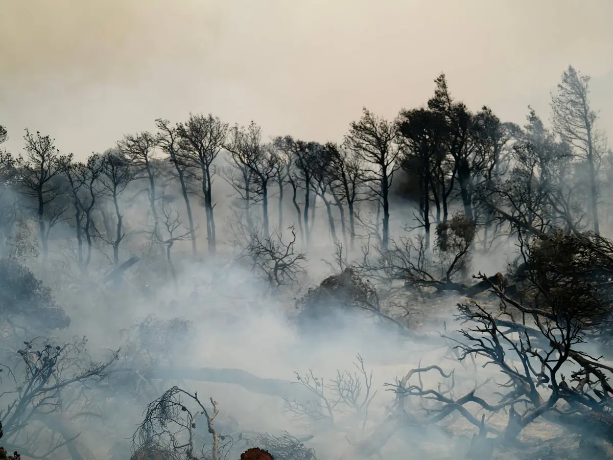 De la gestion des catastrophes naturelles en Grèce : un défi persistant