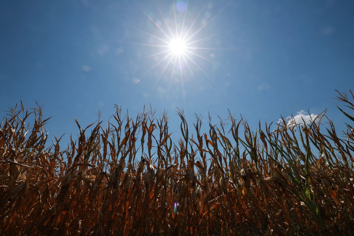 Impact Économique du Changement Climatique : Les Vagues de Chaleur Coûtent Cher à l'Europe