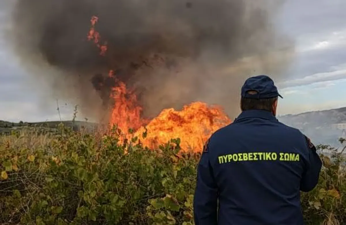 Incendie à Agios Dimitrios, Kozani : Les forces d'intervention mobilisées