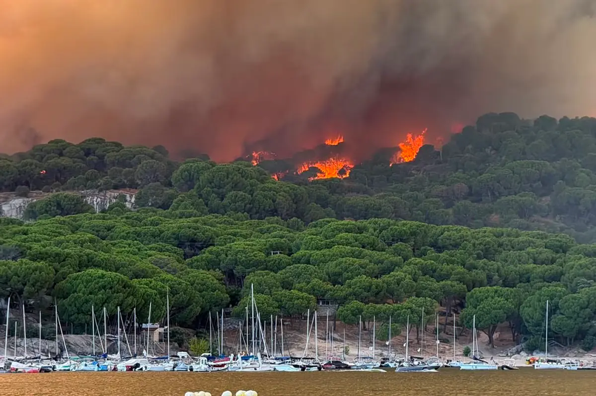 Incendie au Club Nautique Historique de Madrid : Une Partie de la Flotte Détruite et Craintes de Pillages
