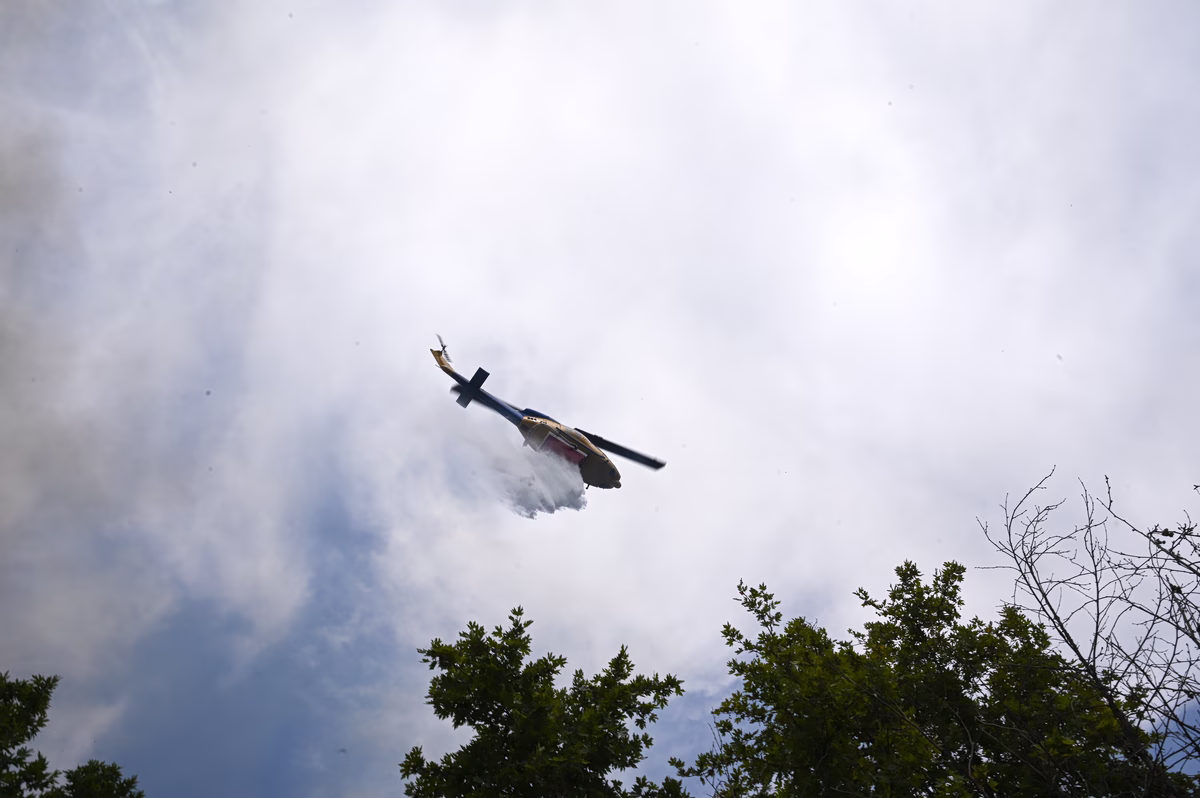 Incendie de Forêt aux Environs d'Ioannina : Mobilisation des Équipes d'Urgence et Soutien Aérien