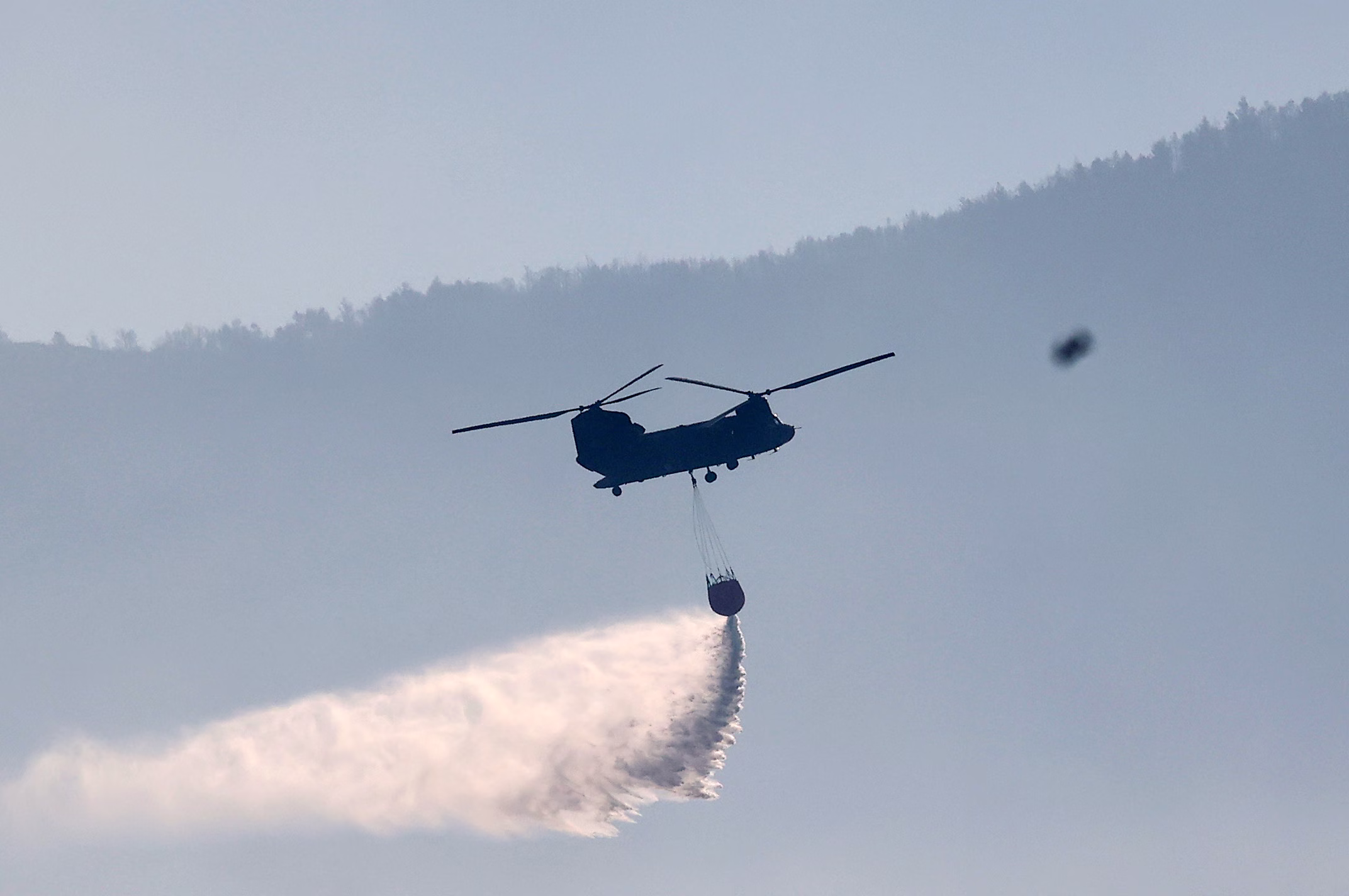 Incendie de Forêt près de Konitsa : Mobilisation des Secours Aériens et Terrestres