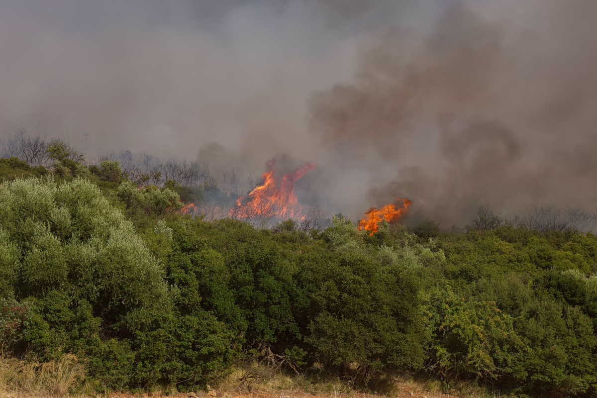 Incendie en deux fronts dans l'Ilia : message 112 diffusé