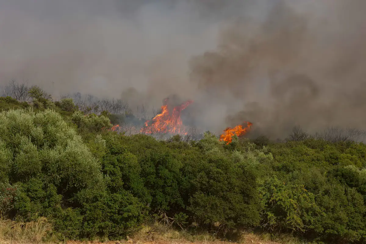Incendie en deux fronts dans l'Ilia : message 112 diffusé