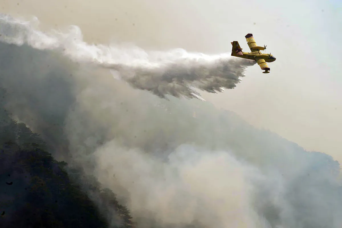 Incendie à Kalavryta : forces terrestres et aériennes mobilisées à Petsakoi