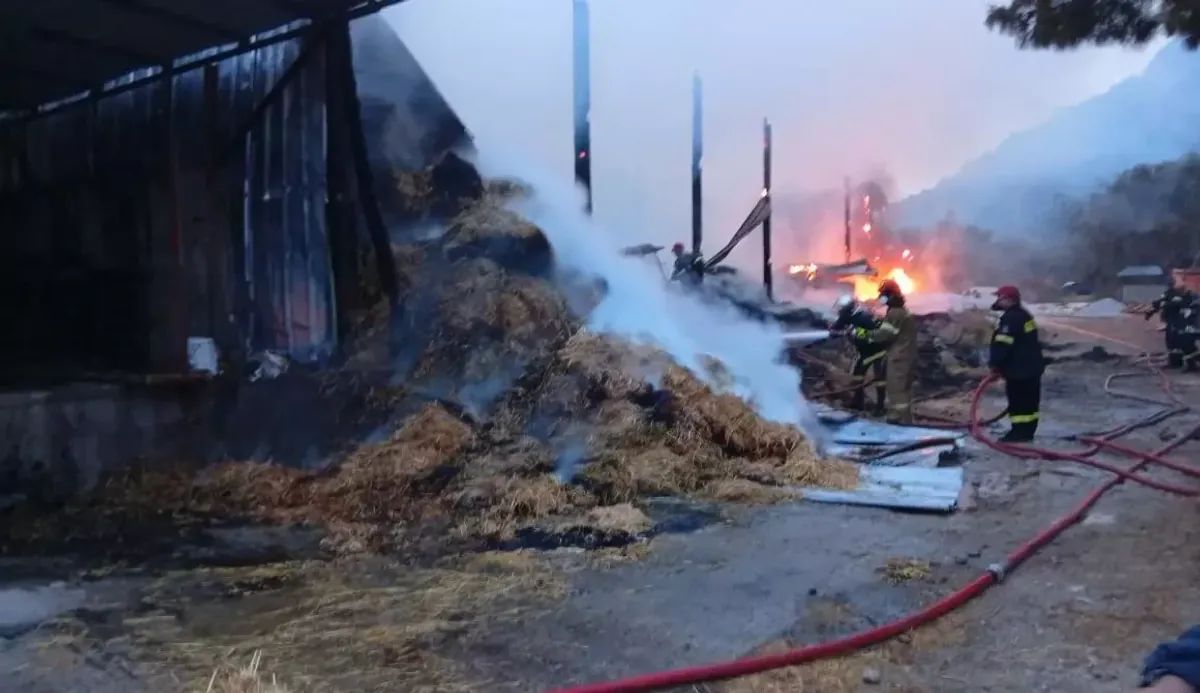 Incendie à Lesvos : les infrastructures de Pigi ravagées