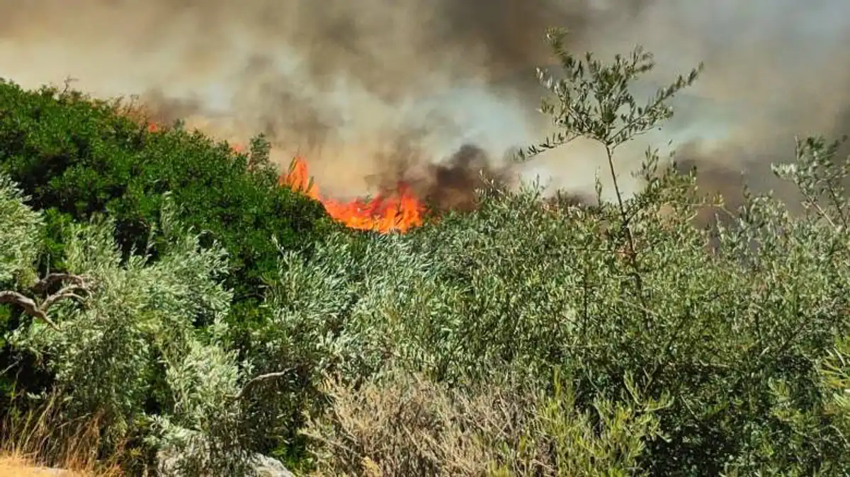Incendie maîtrisé dans une zone agricole à Lavara Soufli, Évros