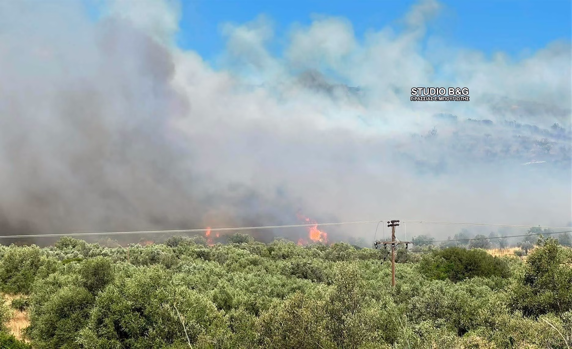 Incendie majeur en Argolide près de Mycènes : Ordre d'évacuation émis pour Fichti