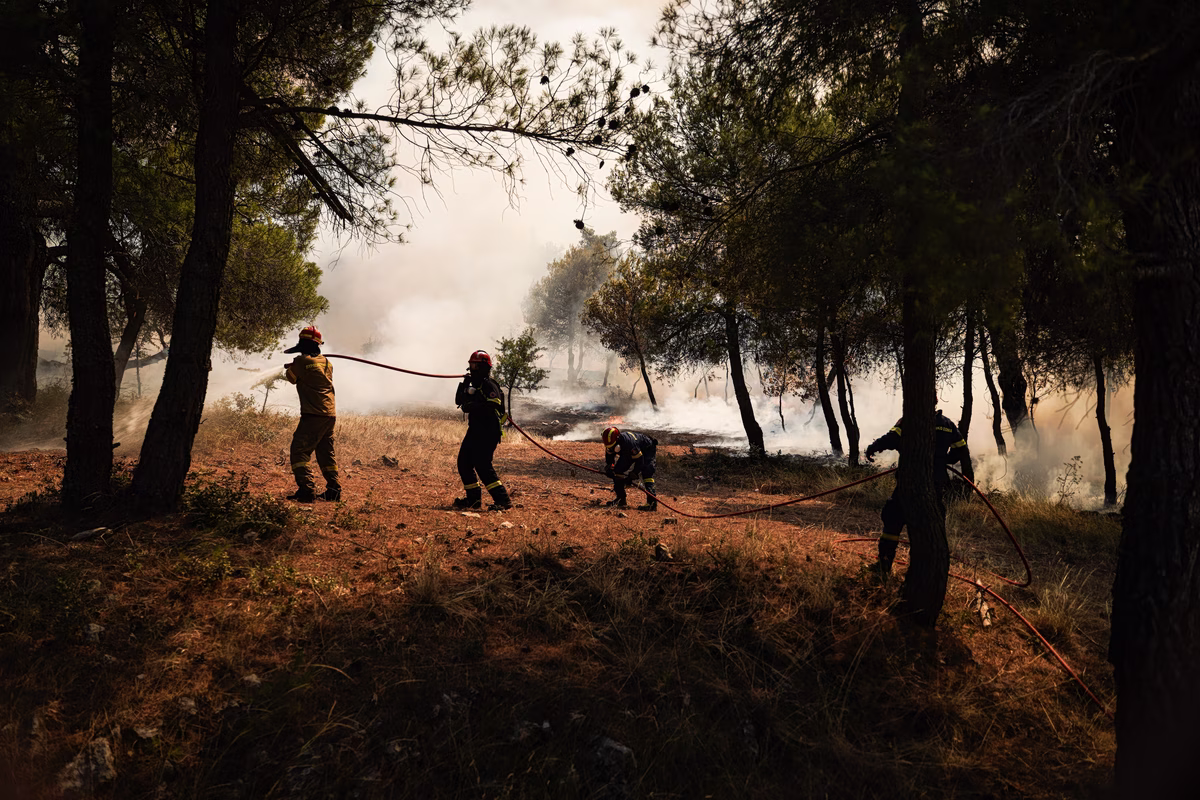 Incendie majeur en Attique occidentale : Les fronts critiques à Agia Skepi et Kandili
