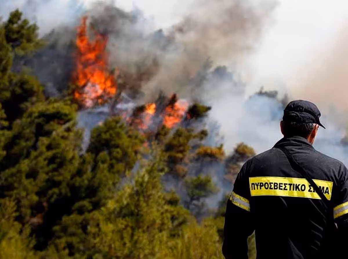 Incendie majeur à Paleochori, Chalcidique : une mobilisation sans précédent des forces d'intervention