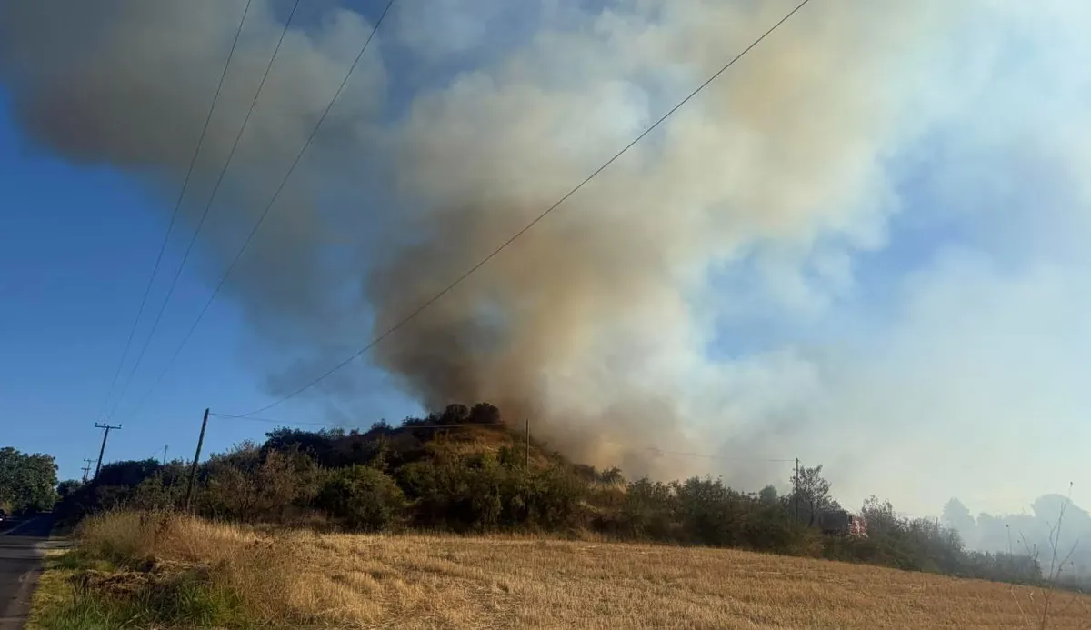 Incendie à Néo Rysio près de Thessalonique : deux moyens aériens déployés