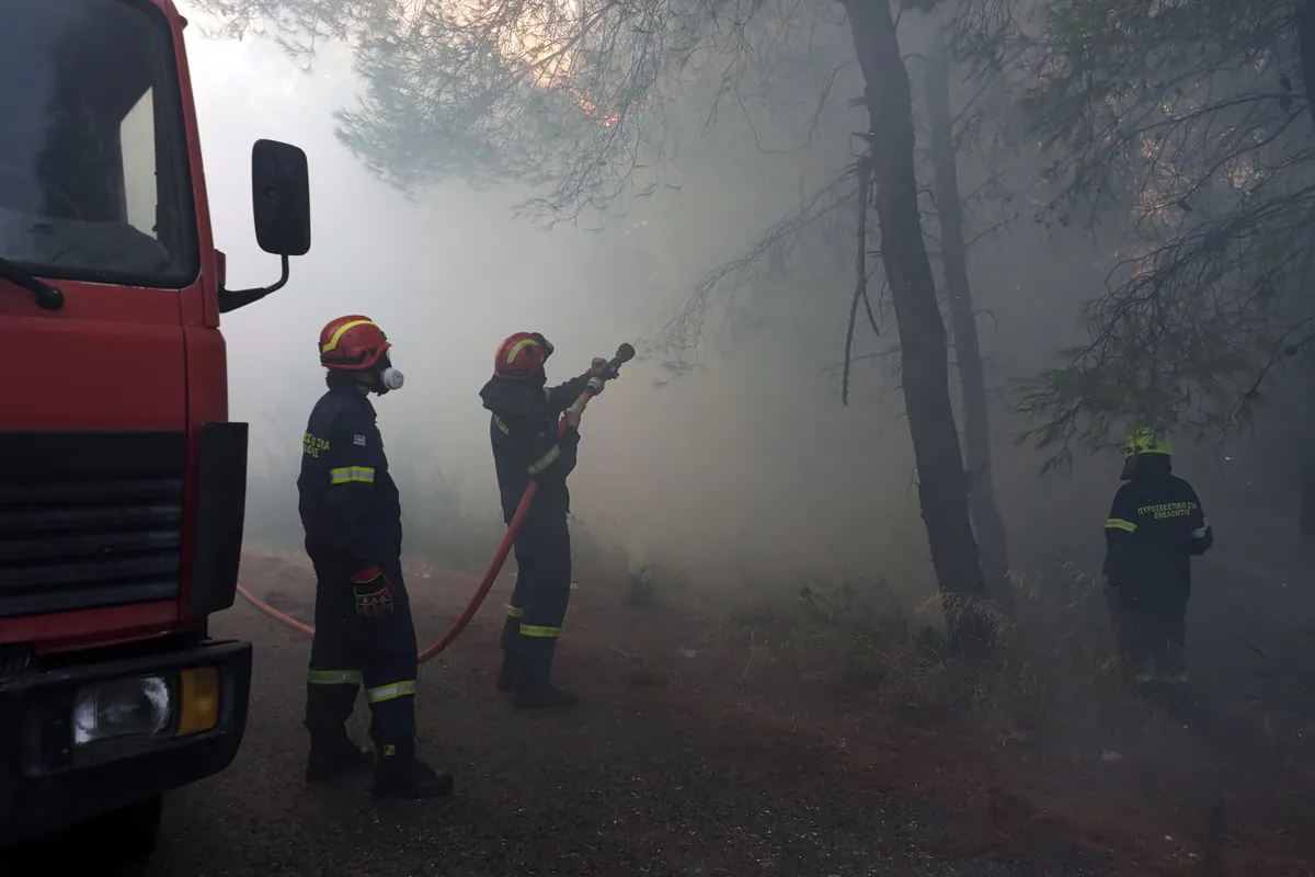 Incendie maîtrisé à Pelasgia en Fthiotida
