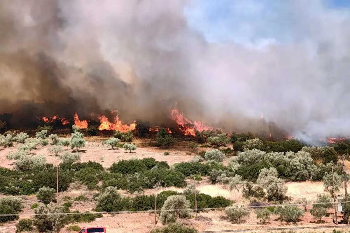 Incendie à Platania en Drame : 35 pompiers et 4 avions mobilisés