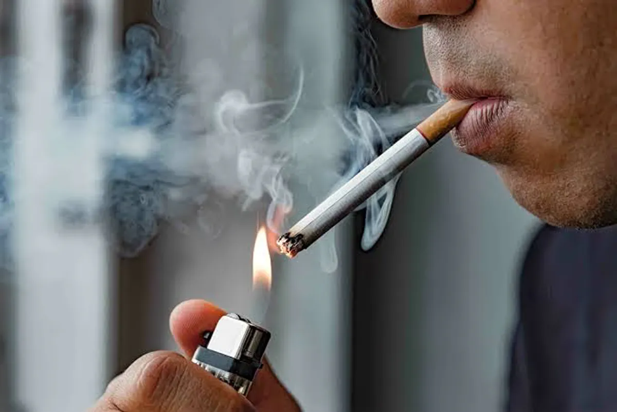 Industrie du tabac illégale : pourquoi la production migre en Europe