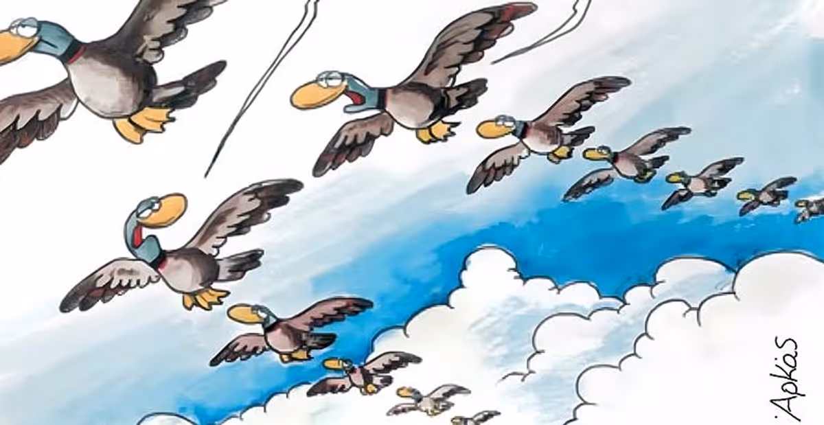 La Salutation Matinale d'Arkas: Un Regard Humouristique sur le Monde des Oiseaux