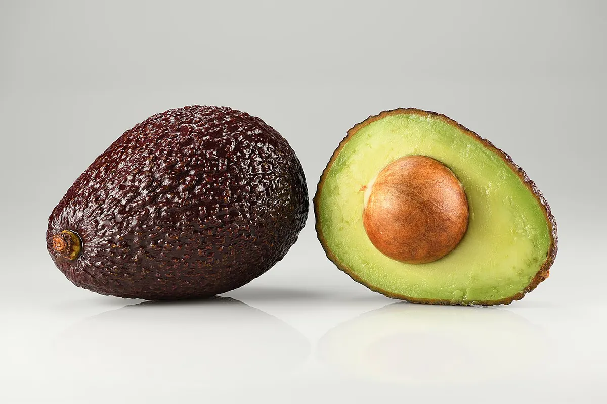 Le Mystère de l'Avocatier : Un Changement de Sexe Quotidien Révélé