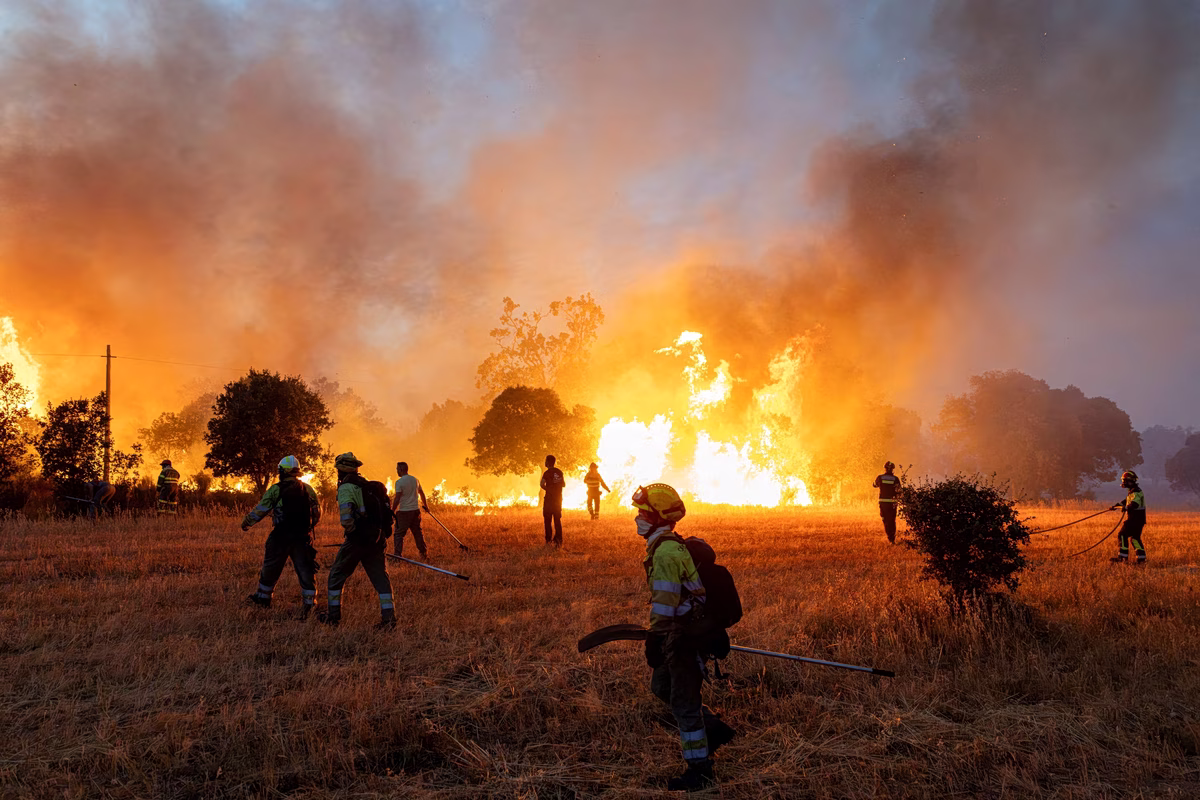 Les Incendies en Europe : Une Analyse des Superficies Dévastées et des Tendances Récentes