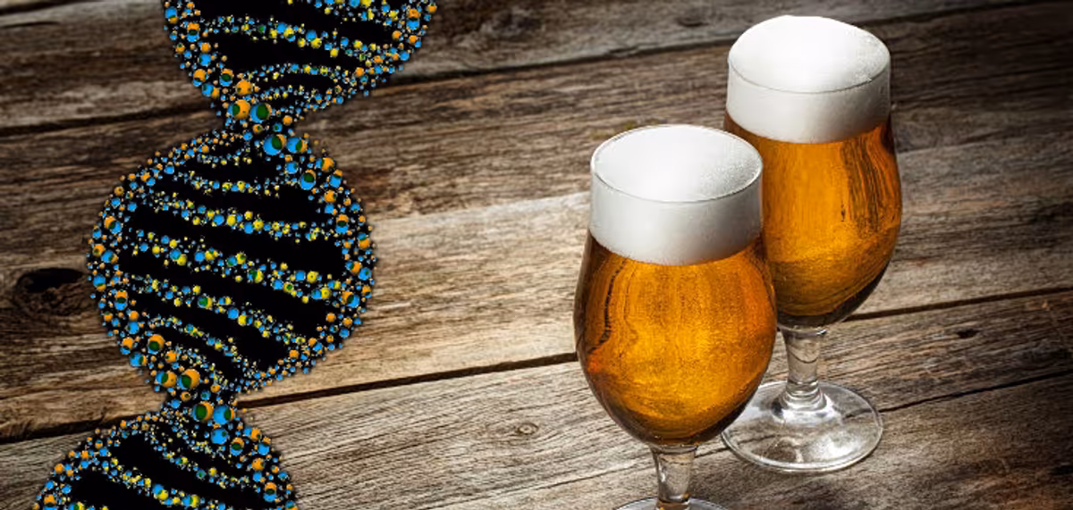 Le Marché Européen de la Bière : Analyse des Exportations et de la Position Grecque