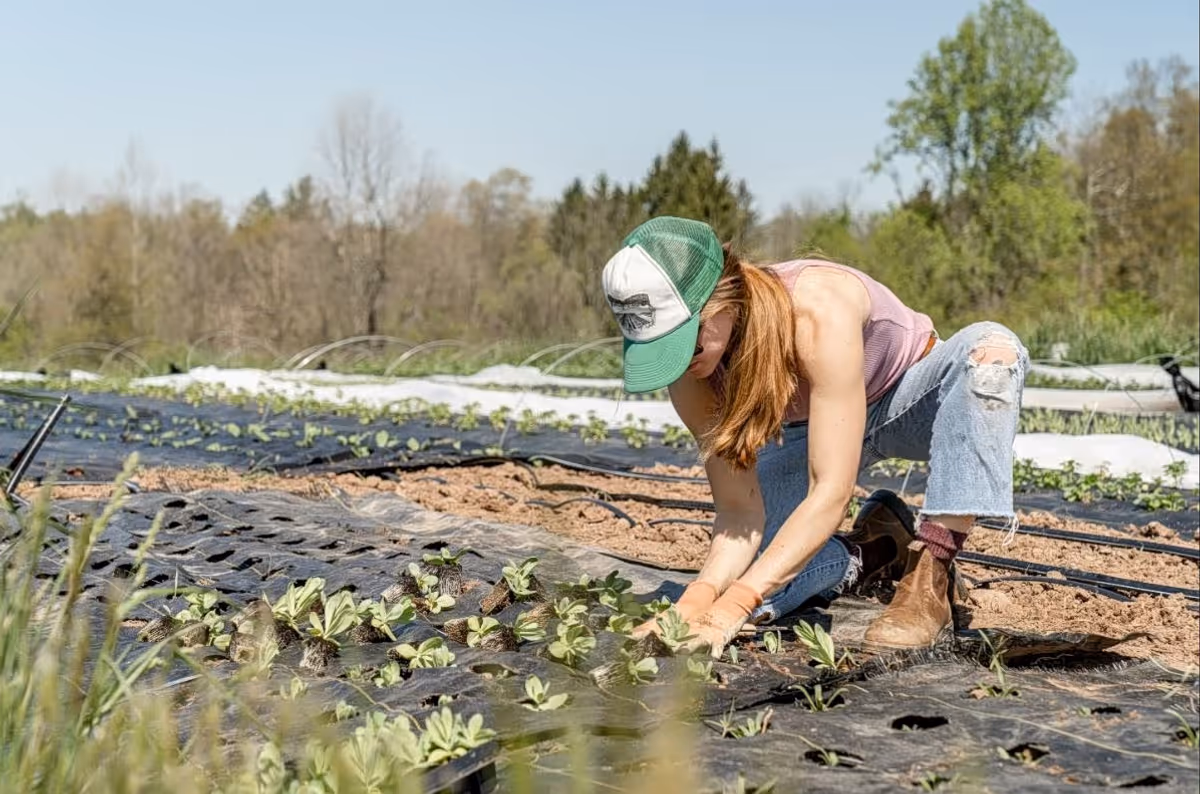 Nouvelles réglementations : qui pourrait perdre ses subventions agricoles ?