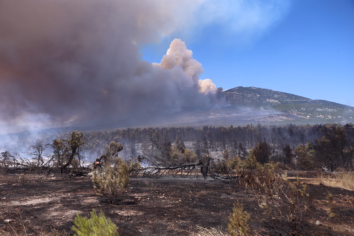 La propagation rapide des incendies de forêt sur le Cithéron capturée en timelapse