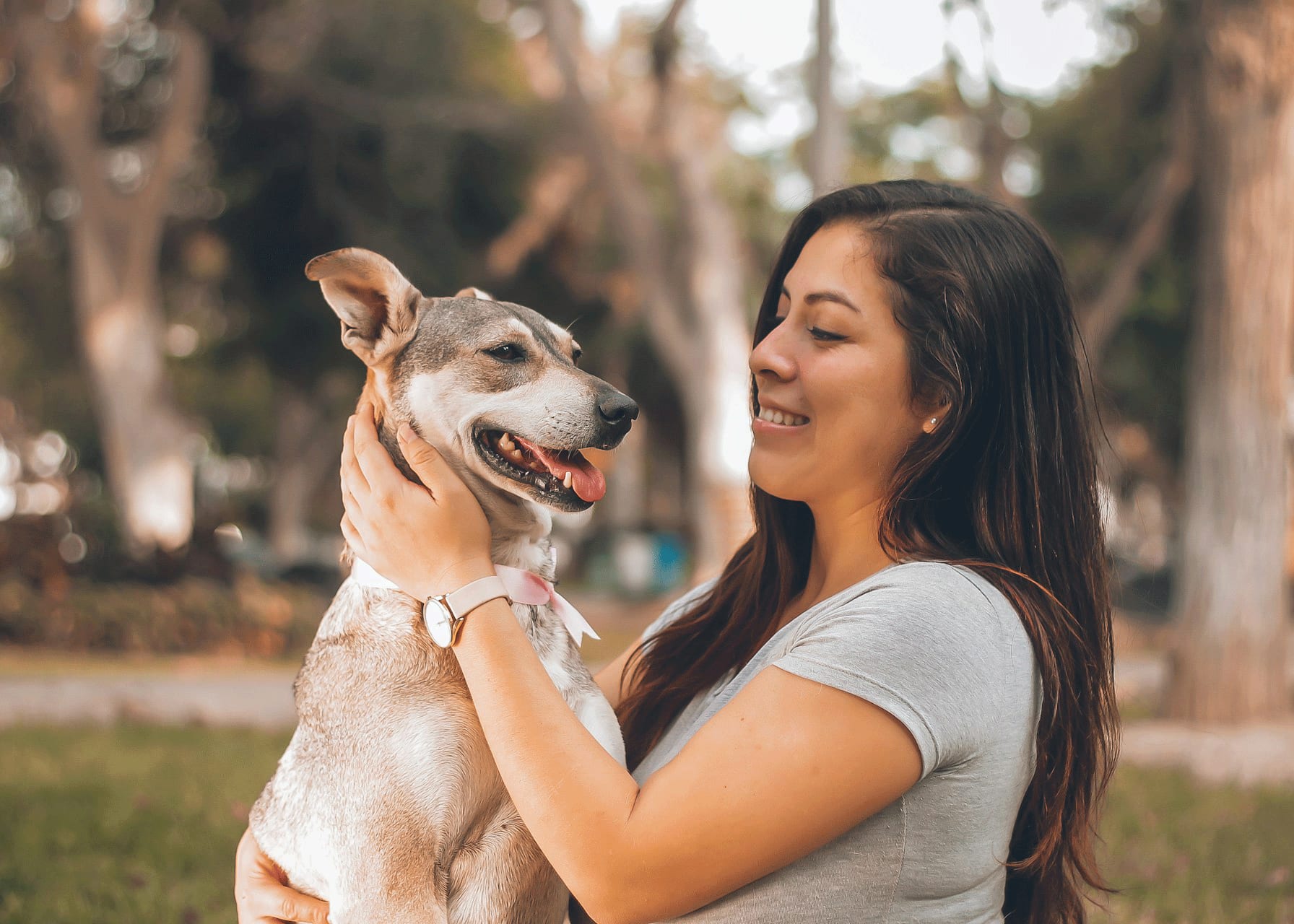 Quand caresser son chien et quand s'abstenir