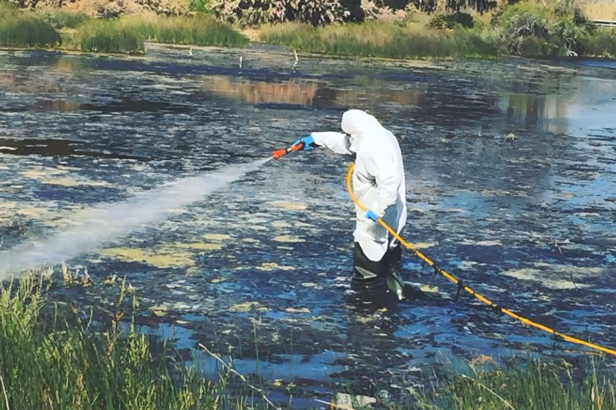 La Région de l'Attique Intensifie la Lutte Contre les Moustiques Face à la Menace du Virus du Nil Occidental