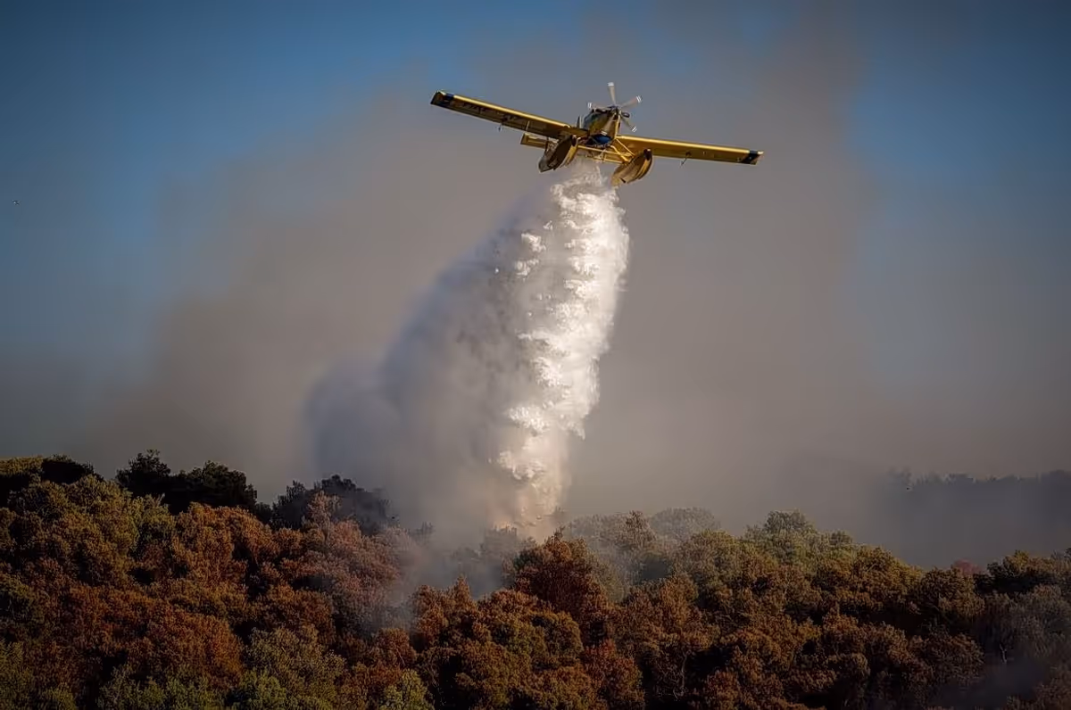 Risque d'incendie Extrêmement Élevé en Attique et dans Sept Autres Régions