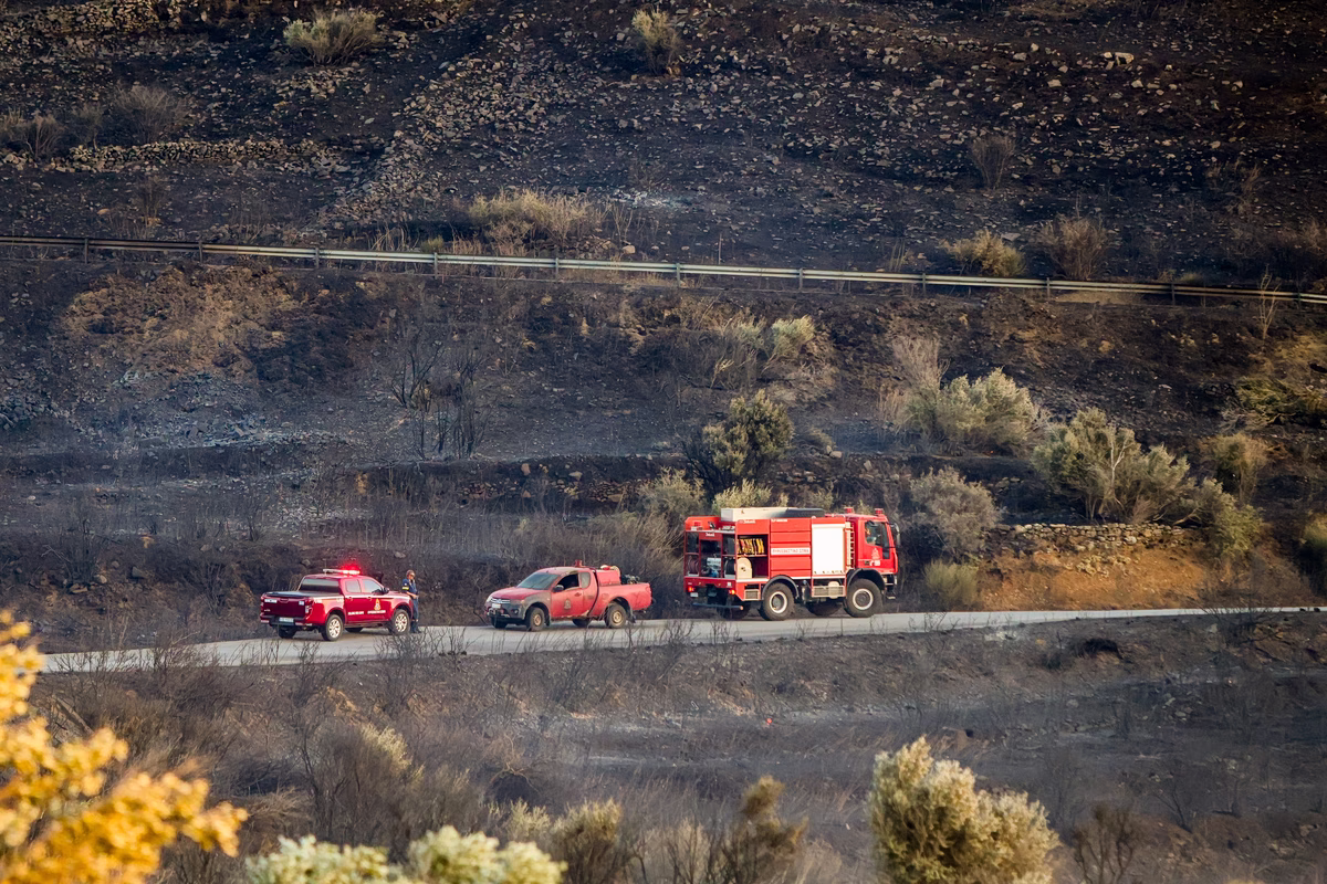 Tragédie nationale : La Grèce pleure la perte de trois pompiers dans les incendies