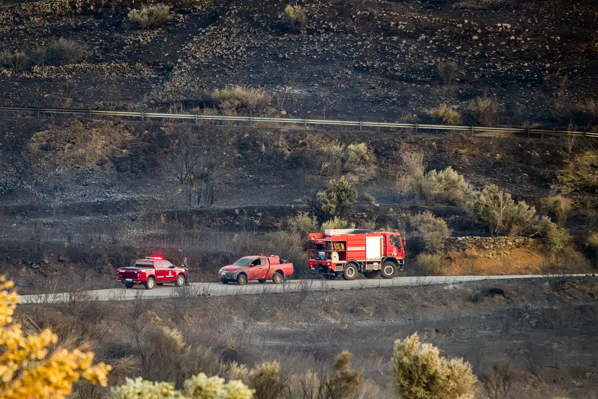 Tragédie nationale : La Grèce pleure la perte de trois pompiers dans les incendies