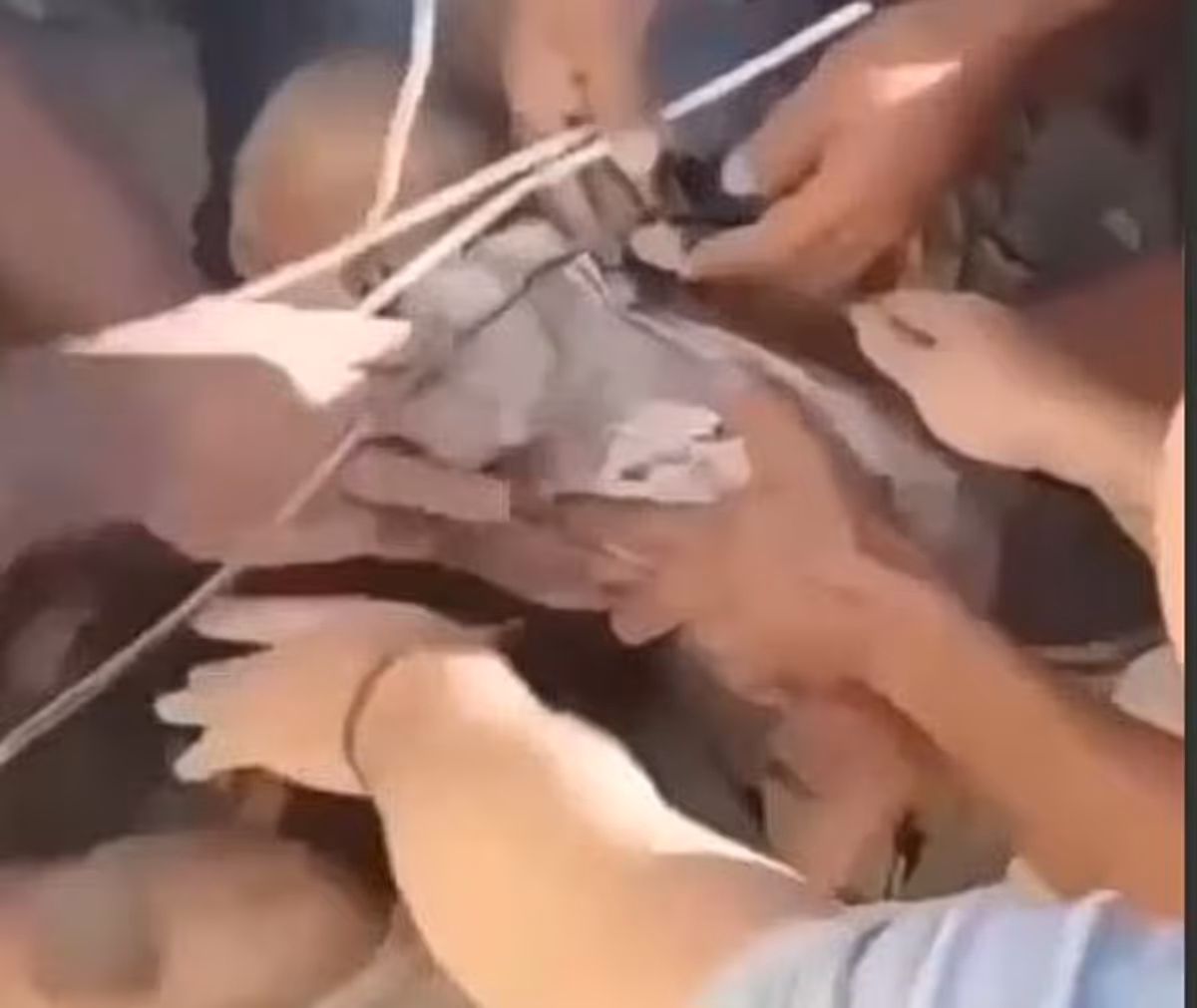 Un bébé sauvé des décombres après un tremblement de terre en Colombie