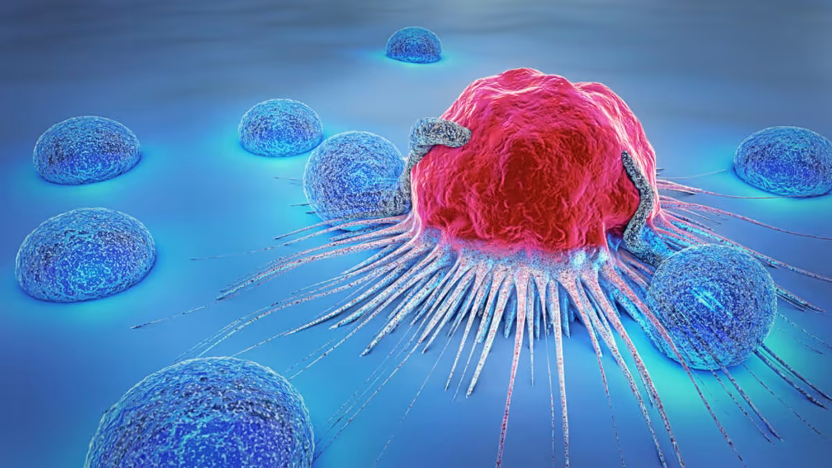 Un Plan National de Lutte contre le Cancer en Dix Mois : Une Nouvelle Stratégie Anticoncerneuse en Préparation