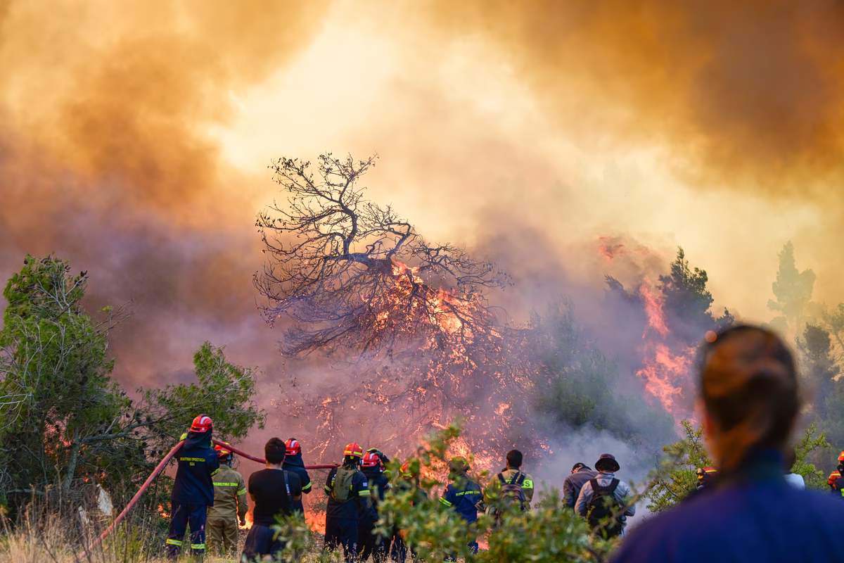 Vagues de chaleur et incendies en Europe du Sud : l'UE face à une crise persistante