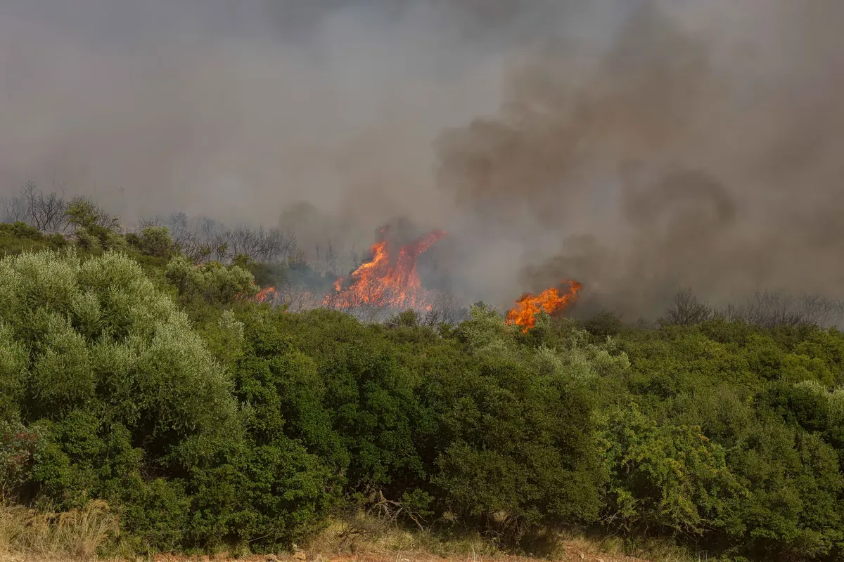 Incendie en deux fronts dans l'Ilia : message 112 diffusé