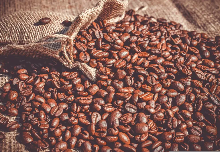 Consommation de café en Grèce : évolution et tendances en 2026
