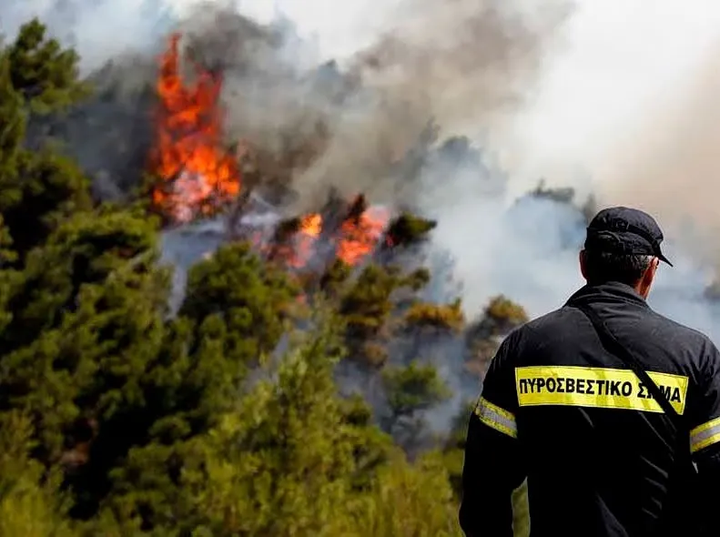 Incendie majeur à Paleochori, Chalcidique : une mobilisation sans précédent des forces d'intervention
