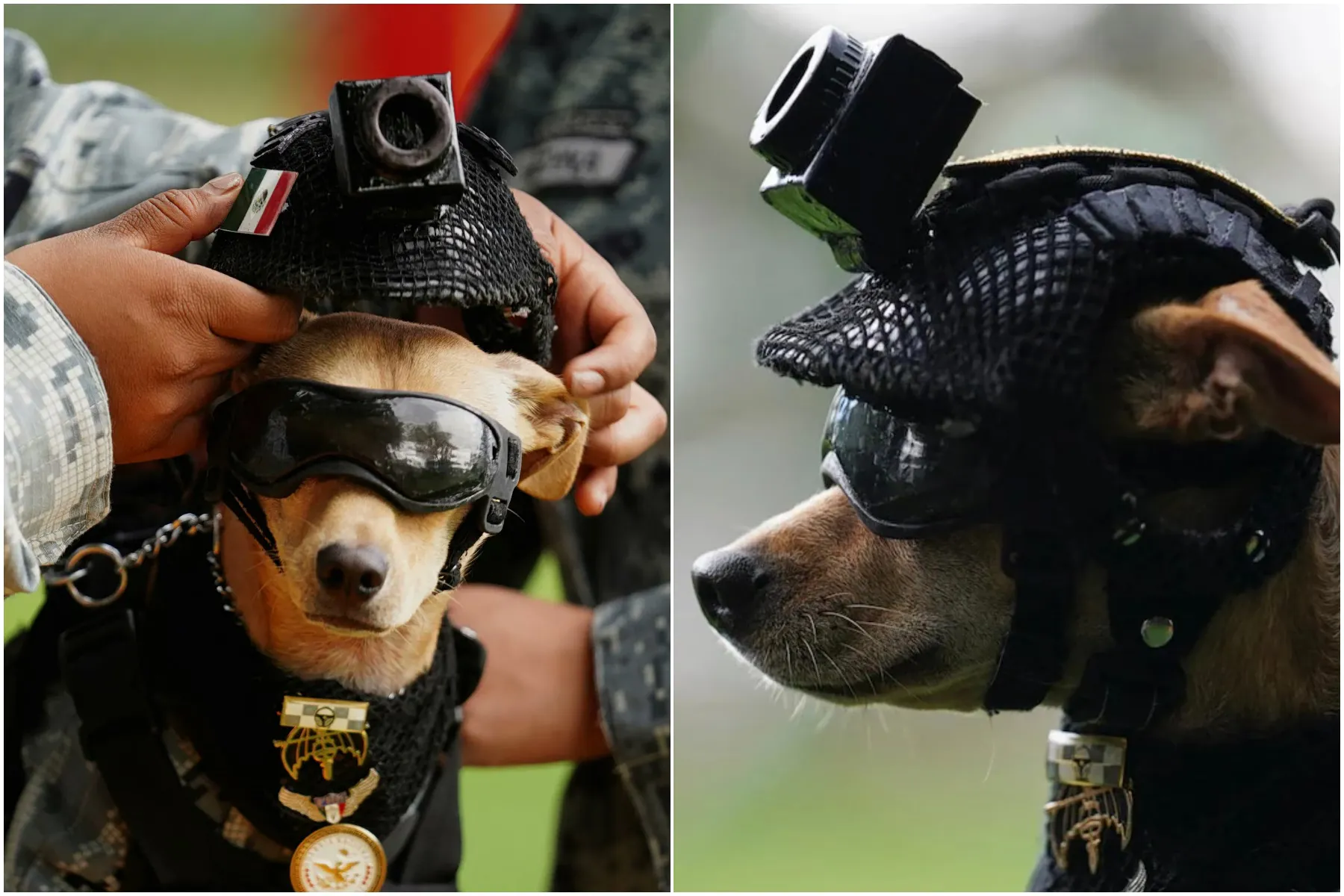 Le Comando chihuahua de la Garde Nationale Mexique en action