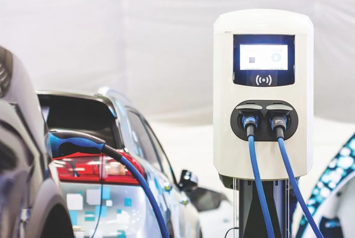 Ventes de véhicules électriques en Allemagne : l'effet crise
