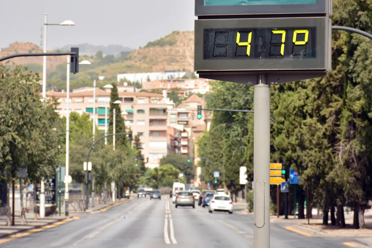 Le phénomène El Niño et les températures mondiales : une analyse des prévisions climatiques
