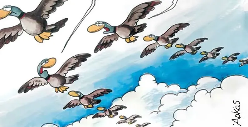 La Salutation Matinale d'Arkas: Un Regard Humouristique sur le Monde des Oiseaux