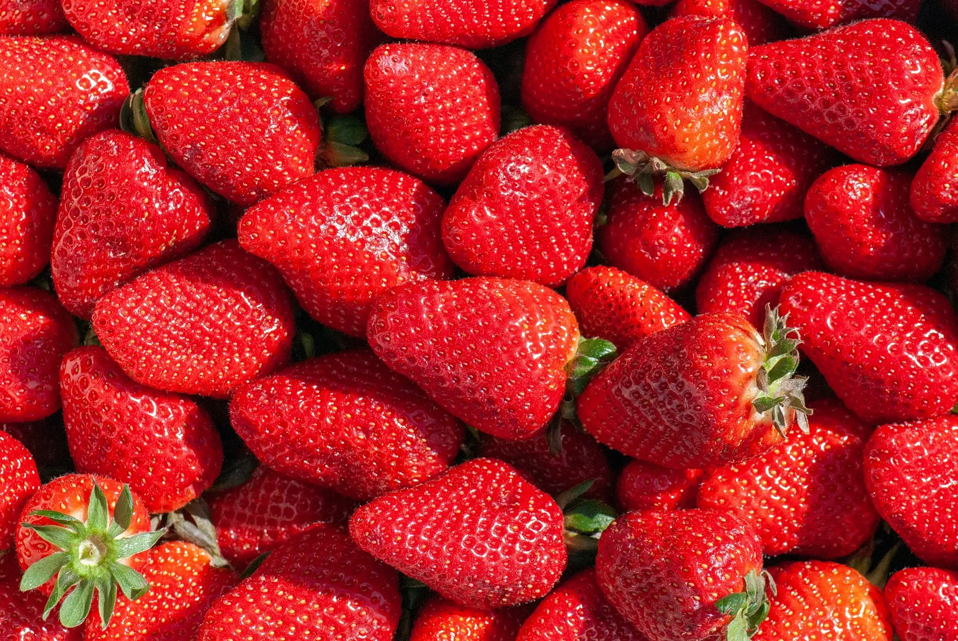 Fraises vs framboises : quel fruit est le plus nutritif ?