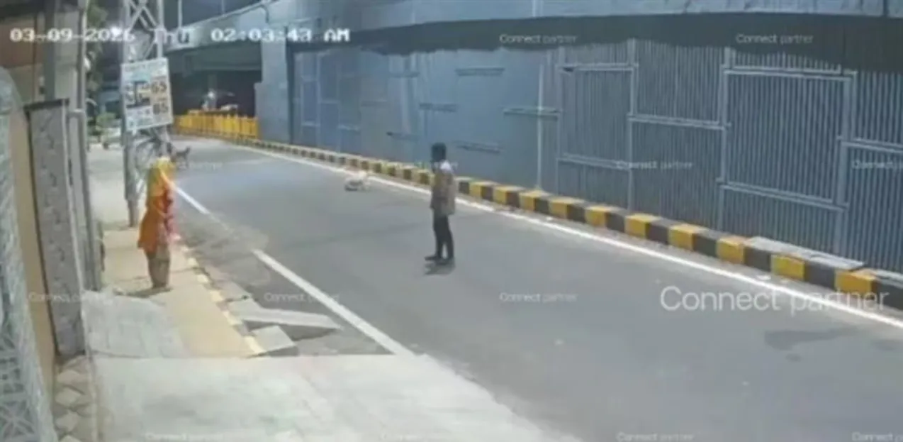 Inde : des chiens errants protègent une femme d'une tentative d'agression