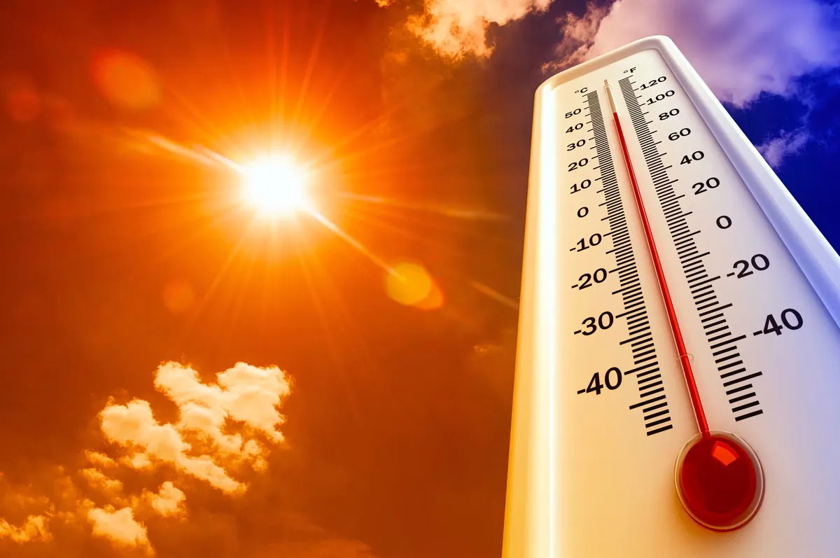 Les Habitations Grecques : Des Pièges Thermiques Sous la Chaleur Estivale