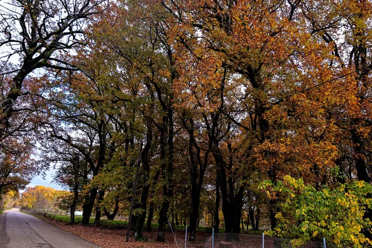 Météo Grèce octobre 2026 : du soleil avant les orages